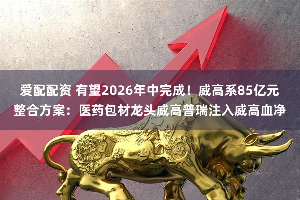 爱配配资 有望2026年中完成!威高系85亿元整合方案:医药包材龙头威高普瑞注入威高血净